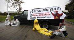 Protesters against Genetically Modified Organisms (GMO) are chained to a vehicle as they block a delivery entrance to a Monsanto seed distribution facility in Oxnard
